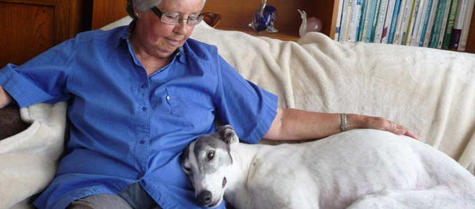 Greyhound bequests